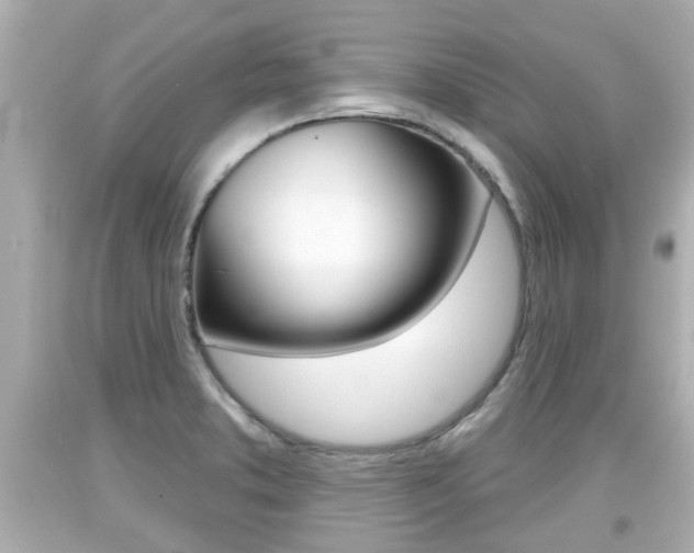 X0000094381373200711020815