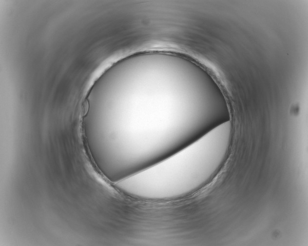 X0000094381374200711020815