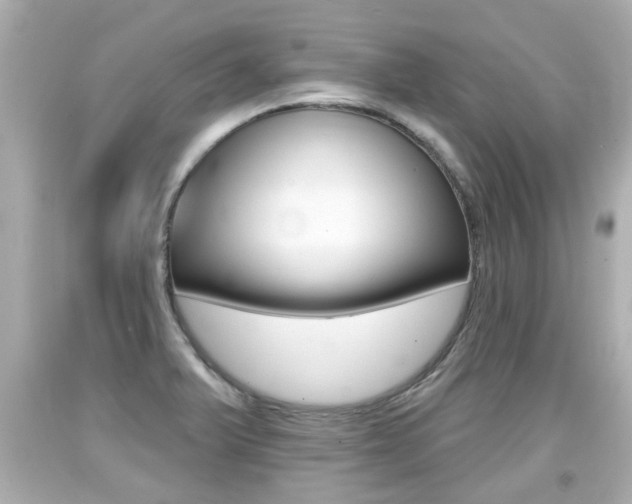 X0000094381375200711020815