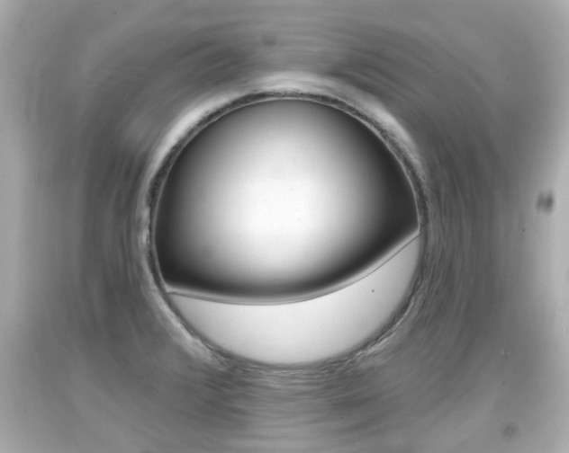 X0000094381376200711020815