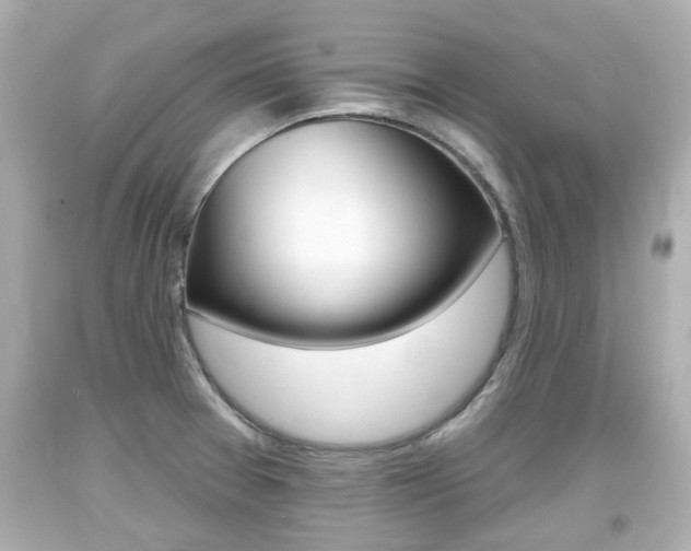 X0000094381377200711020815