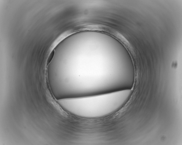 X0000094381378200711020815