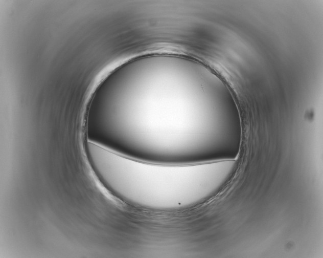 X0000094381379200711020815