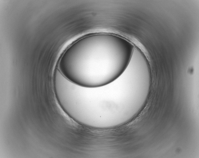 X0000094381380200711020815