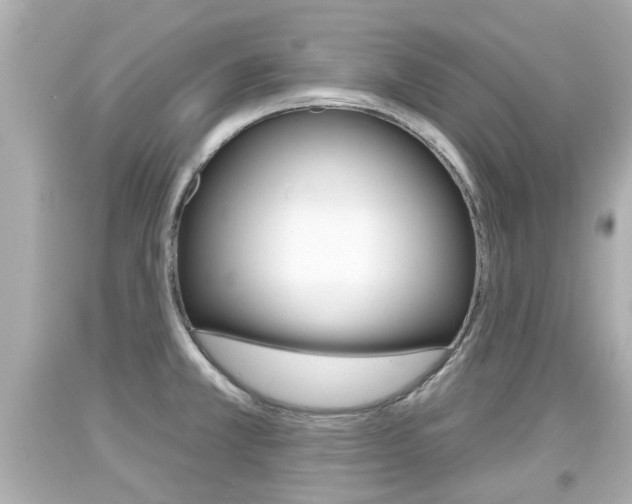 X0000094381381200711020815