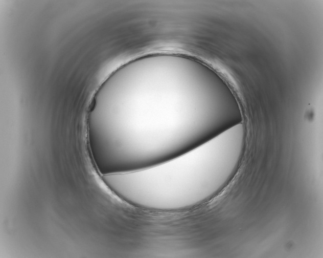 X0000094381382200711020815
