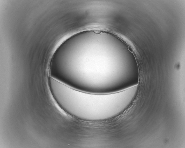 X0000094381383200711020815