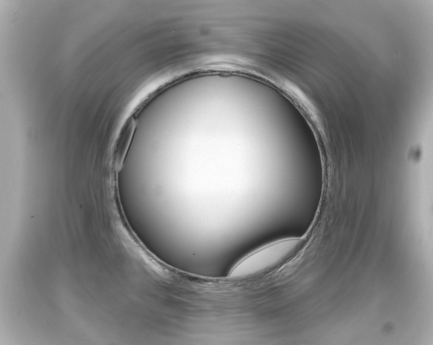 X0000094381384200711020814