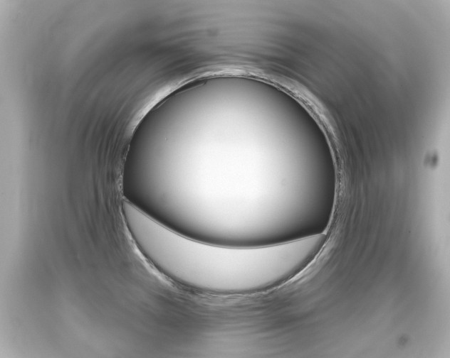 X0000094381385200711020814