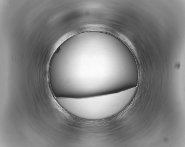 X0000094381386200711020814