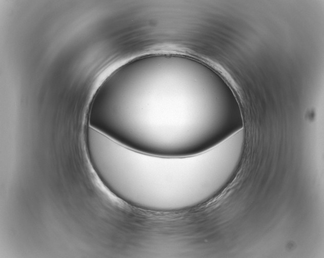 X0000094381387200711020814
