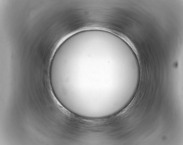 X0000094381388200711020814