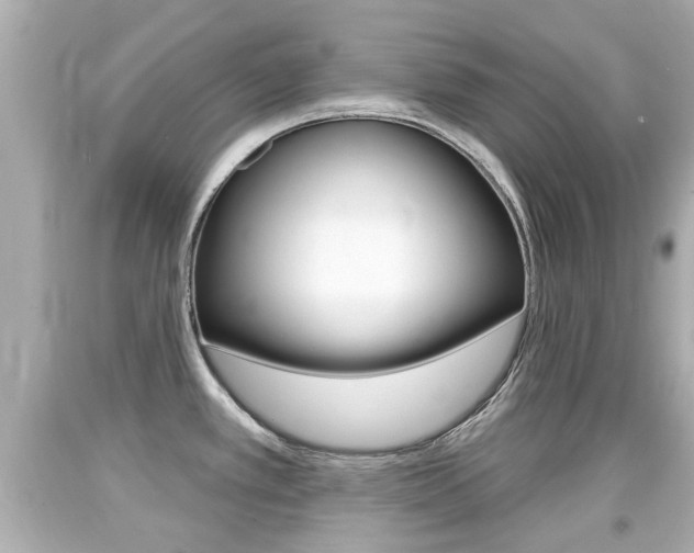 X0000094381389200711020814