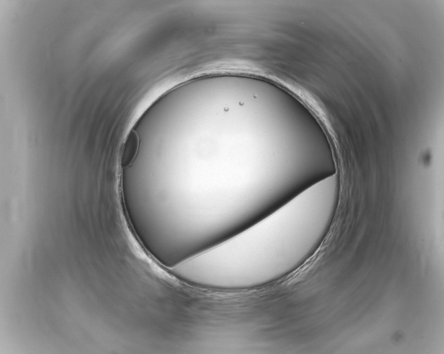 X0000094381390200711020814