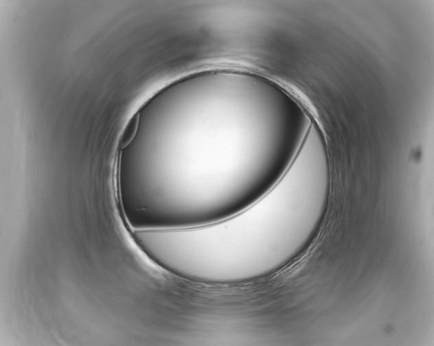 X0000094381391200711020814