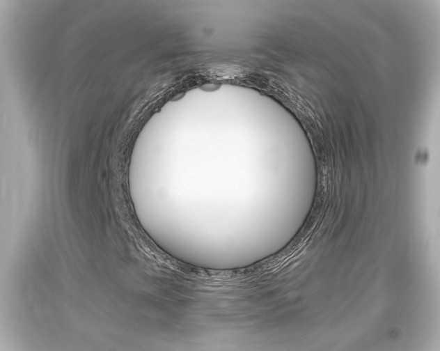 X0000094381393200711020813
