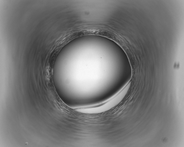 X0000094381394200711020813