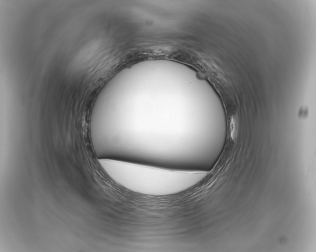 X0000094381395200711020813