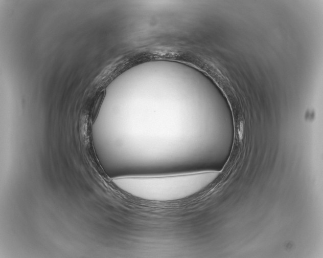 X0000094381396200711020813