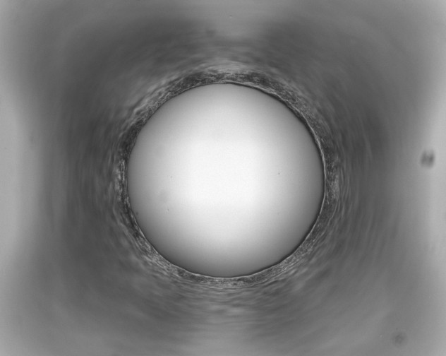 X0000094381397200711020813