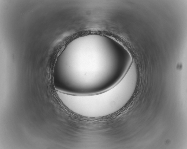 X0000094381398200711020813