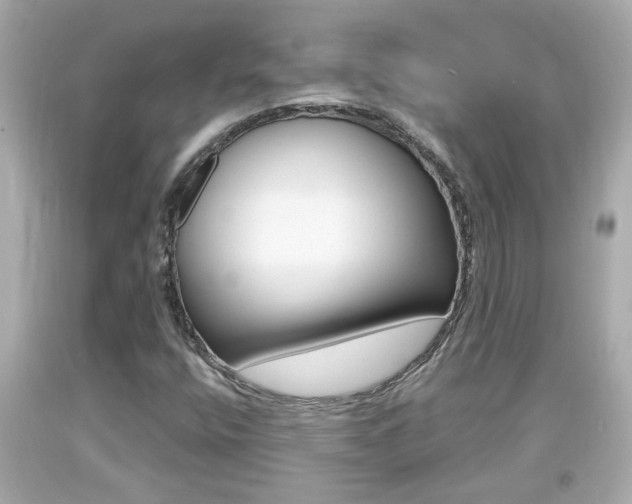X0000094381400200711020813