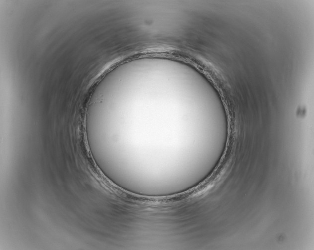 X0000094381401200711020813
