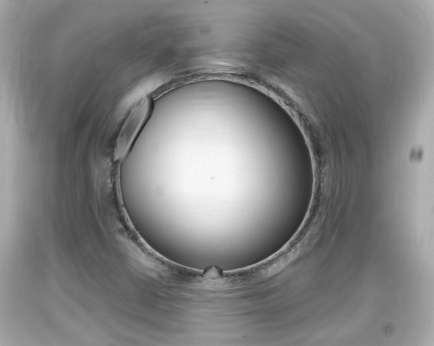 X0000094381402200711020813