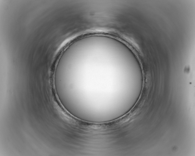 X0000094381404200711020814