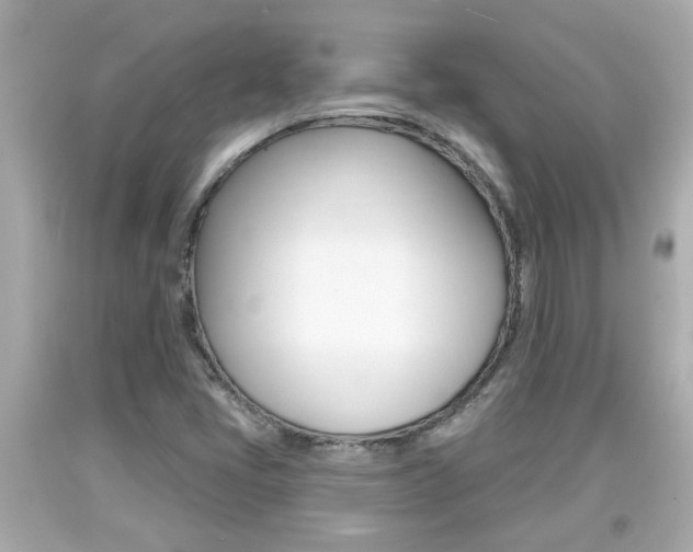 X0000094381405200711020814
