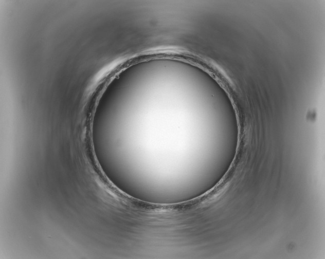 X0000094381406200711020814
