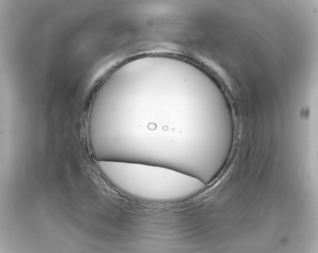 X0000094381407200711020814
