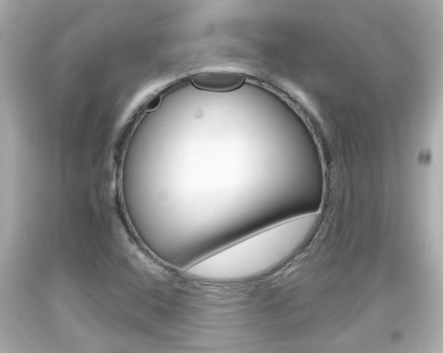 X0000094381408200711020814