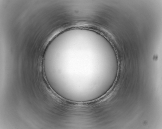 X0000094381409200711020814