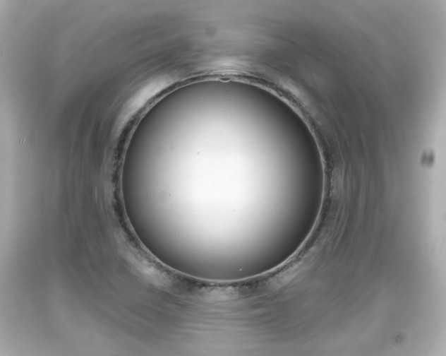 X0000094381410200711020814