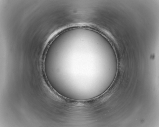 X0000094381412200711020814