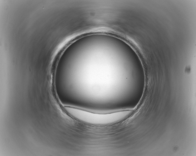 X0000094381414200711020814