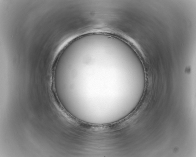 X0000094381415200711020814
