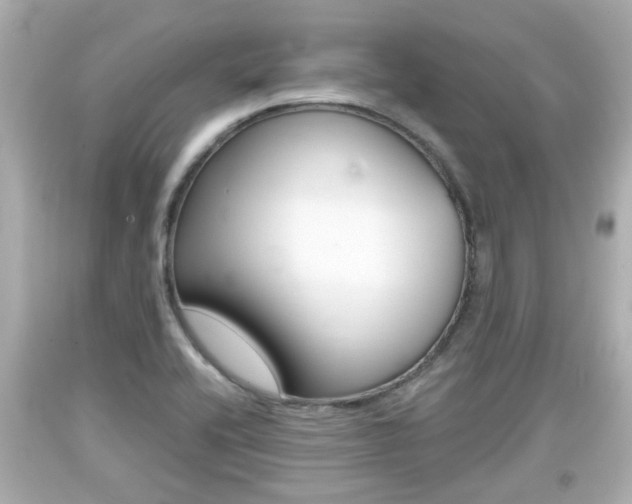 X0000094381416200711020814