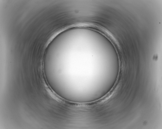 X0000094381417200711020814