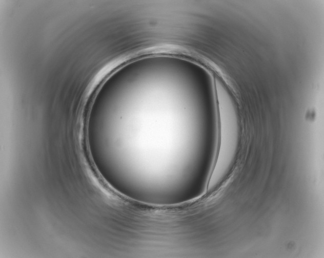 X0000094381418200711020814