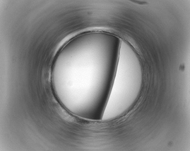 X0000094381420200711020814