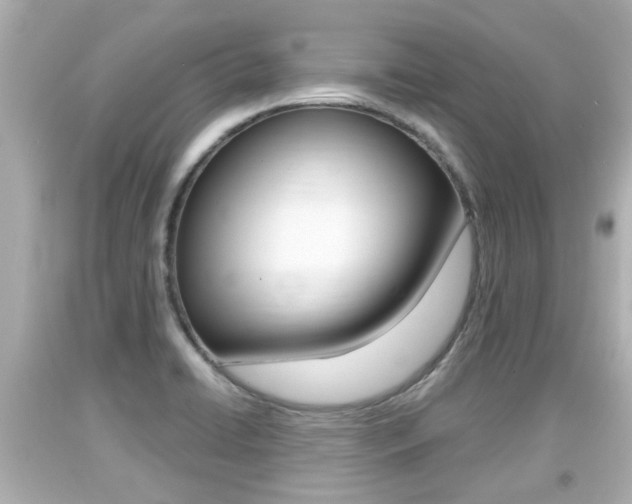 X0000094381422200711020814