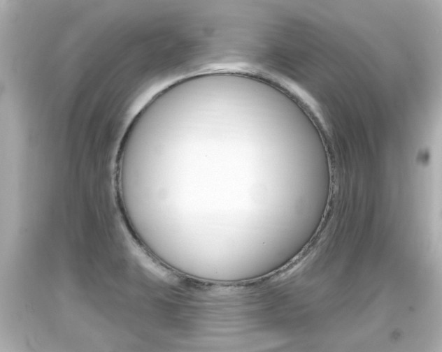 X0000094381423200711020814