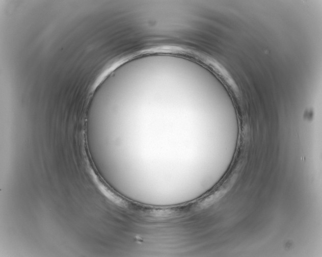 X0000094381425200711020814