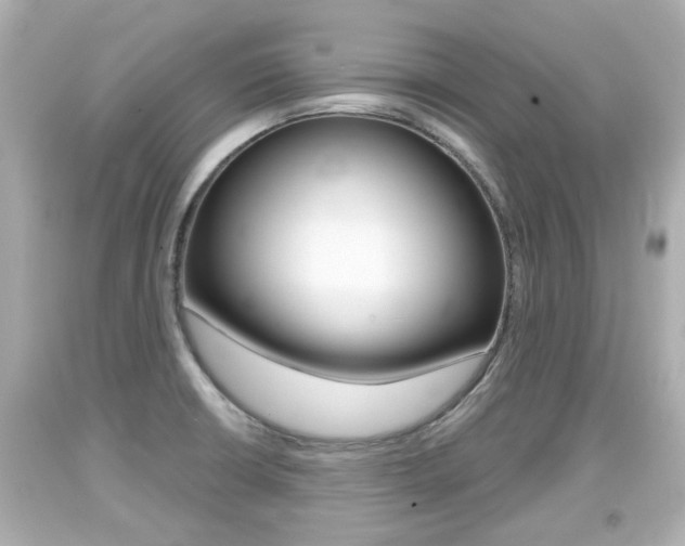 X0000094381426200711020814