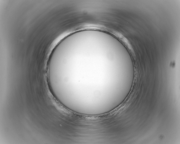 X0000094381427200711020814