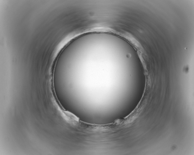 X0000094381430200711020814