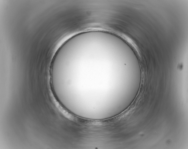 X0000094381431200711020814
