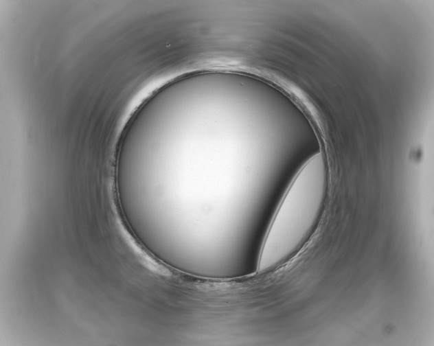 X0000094381432200711020814